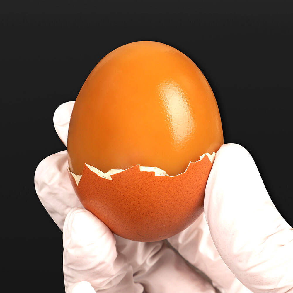 슬라이드 이미지_0