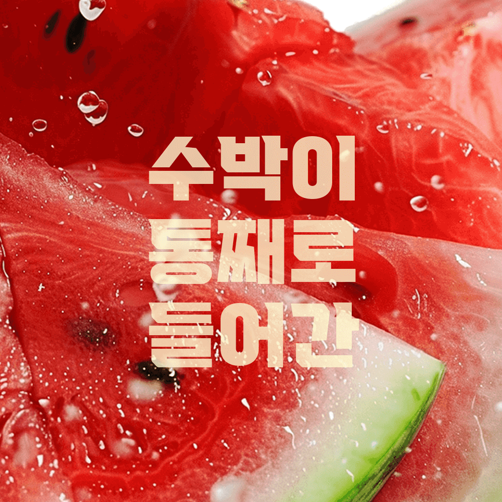 슬라이드 이미지_0