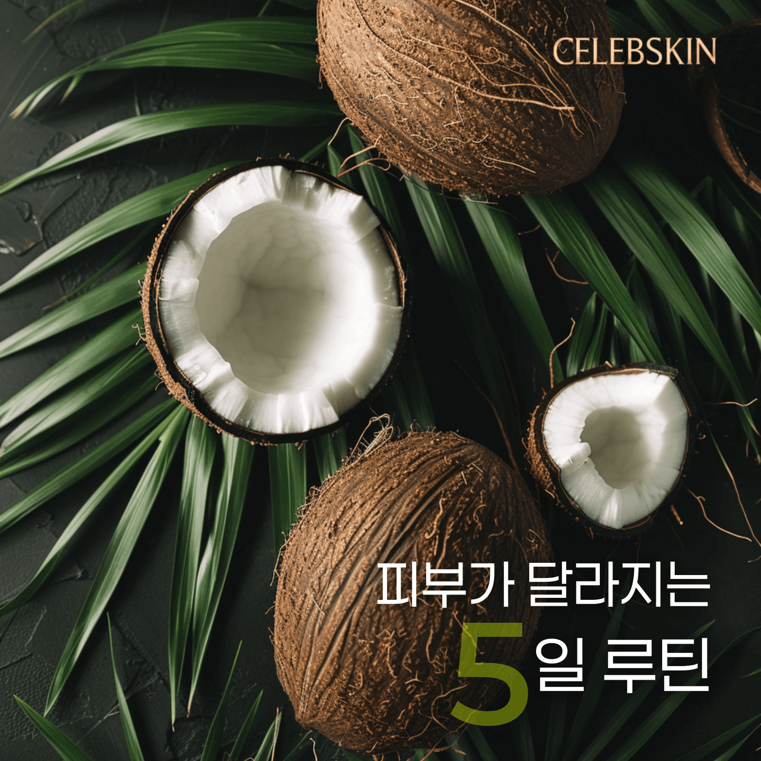 슬라이드 이미지_2